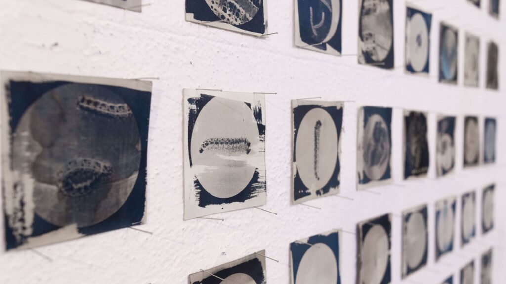Giulia Barone, Il vuoto è fertile - Fotografie, installazione, dimensioni ambientali, 2022